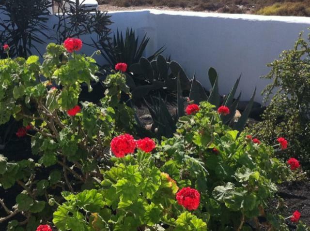 Casa Callao Famara Eksteriør bilde